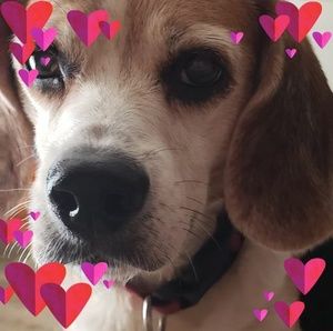 Meet your Posher, Lola